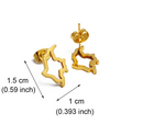 Colombia Map Stud Earrings